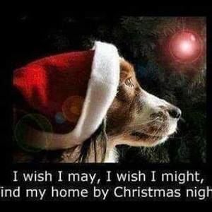 Meet your Posher, Vicki